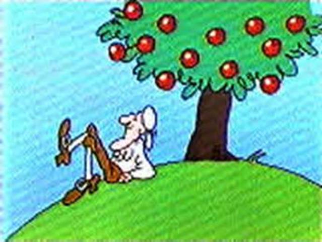 Newton's Law of Gravity