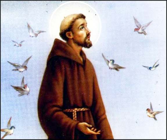 Liberación de Francisco.