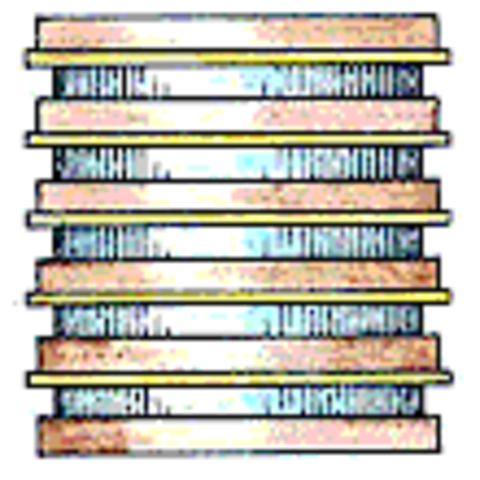 The 1st Electric Battery