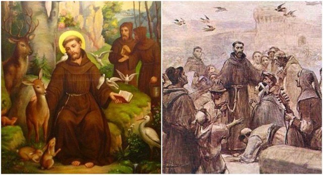 Regreso a Italia de Francisco.