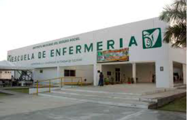 Fundación Escuela de Enfermería del (IMSS)