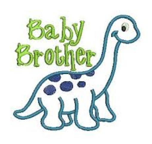 Getting A Baby Brother