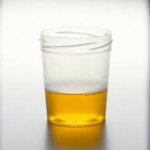 First Form of Diagnosis