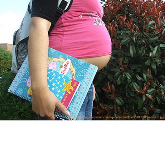 LEY DE SALUD SEXUAL Y PROCREACIÓN RESPONSABLE