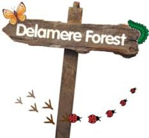 Fairfax reaches Delamere Forest