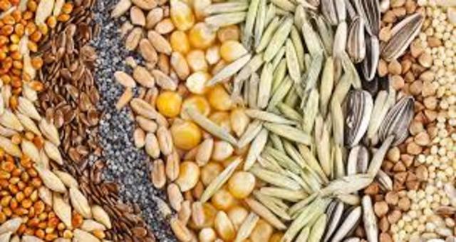 Un gran descubrimiento