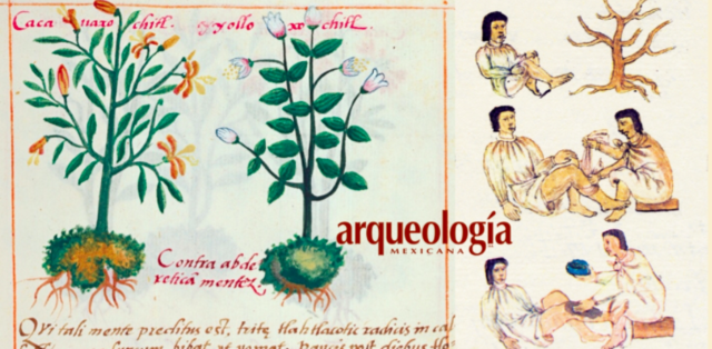 La terapéutica nahua