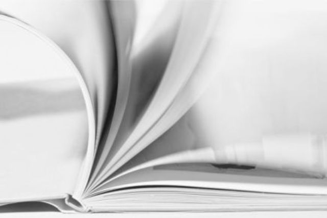 Socialización de Proyectos