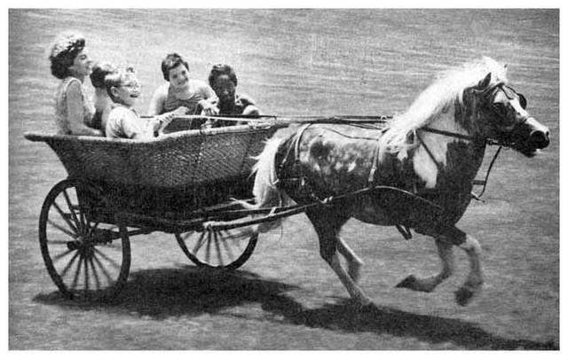 Eunice Shriver's article