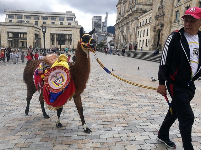 12: 30 p.m. Almorzando
