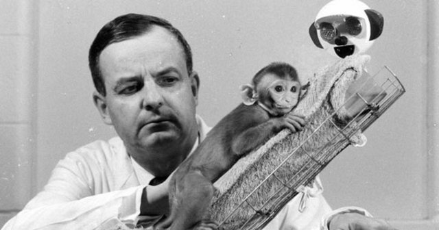 Harry Harlow (1905-1981)