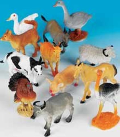 Lincoln was fond of pets, and owned horses, cats, dogs and a turkey