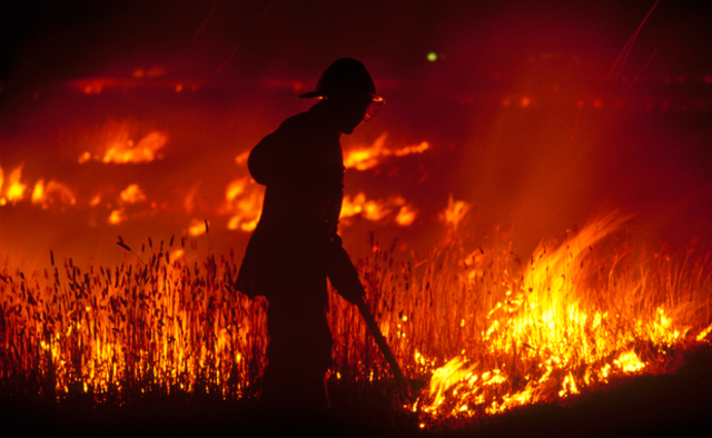 The worst wildfires in Australia