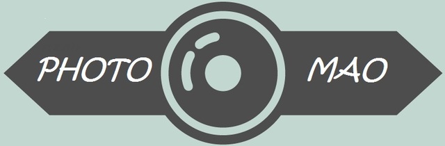 Independencia Laboral