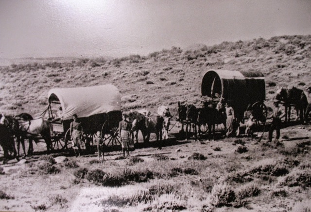 The Oregon Trail
