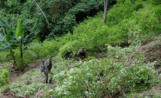 Inicio de el narcotrafico en Colombia