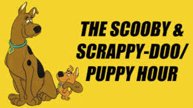 Scooby-doo and Scrappy-doo Shorts