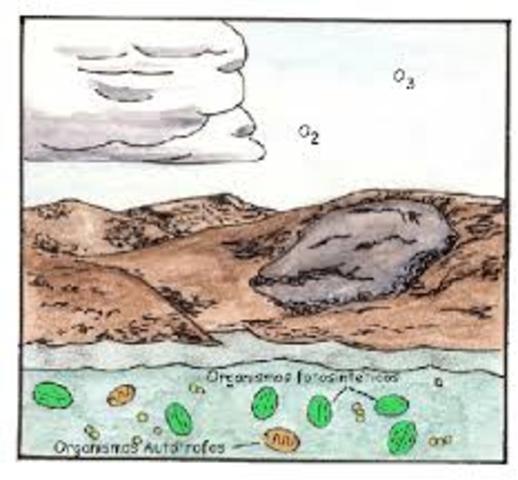 3500 Millones de años