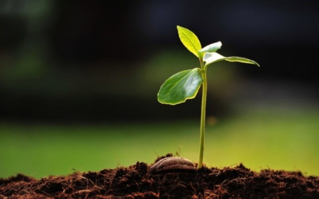 Le sale las dos primeras hojas