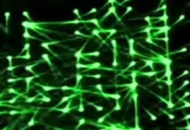 The Internet was invented