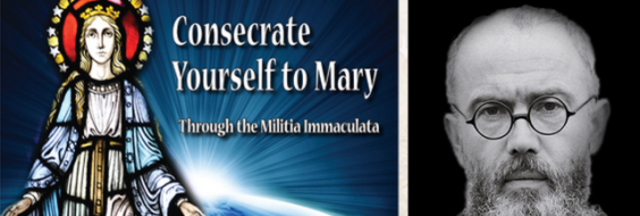 Knights of the immaculate