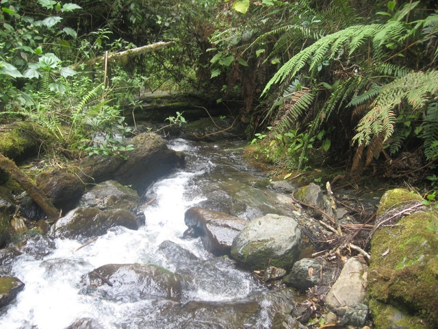 Resolución CARDER 061 de 2007