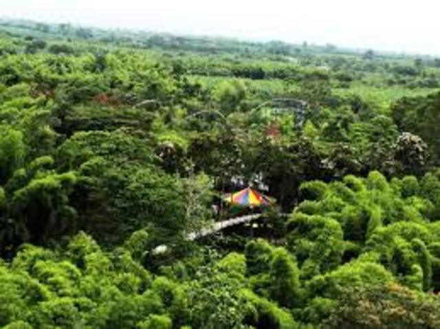 COMPRA DEL PREDIO (PARQUE DEL CAFÉ)