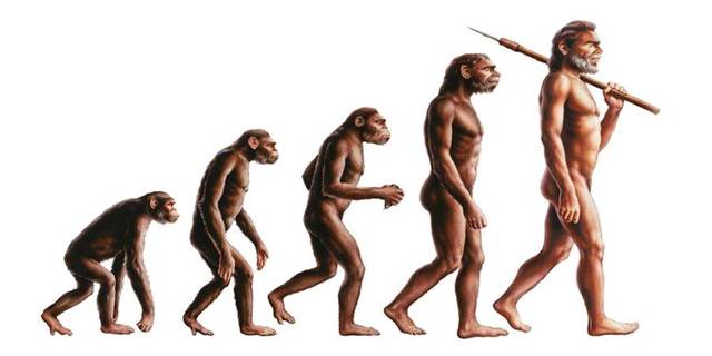 Naturalismo (século XIX)