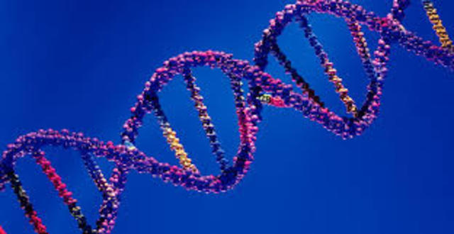 Inicios del dogma central de la biología molecular. El código genético.