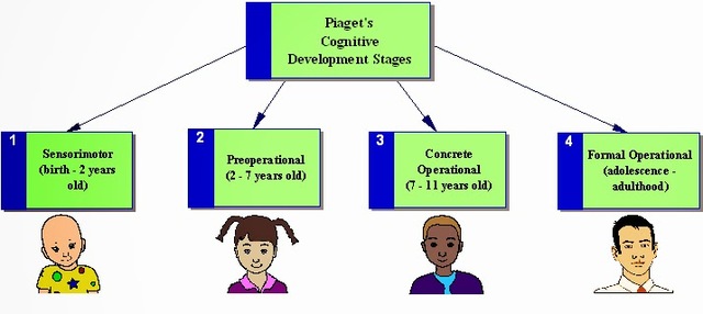 Perspectiva Cognoscitiva (Piaget, Brunner).