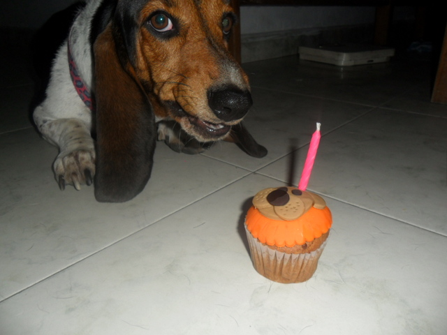 Primer cumpleaños de lana (unicornia mayor)