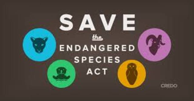 Endangered Species Act