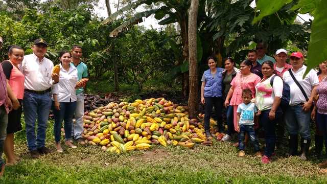 Seminario El Cultivador Cundinamarques