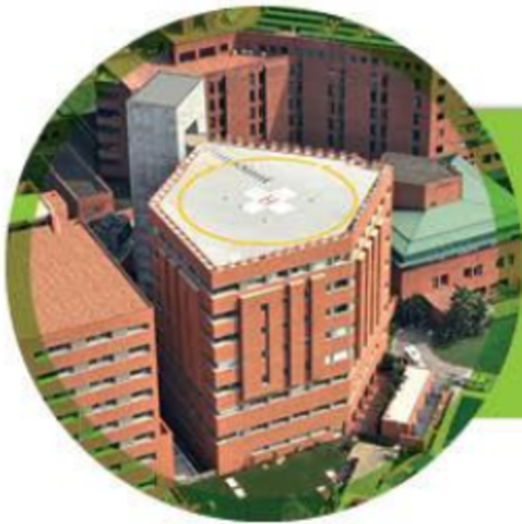 FUNDACIÓN VALLE DE LILI