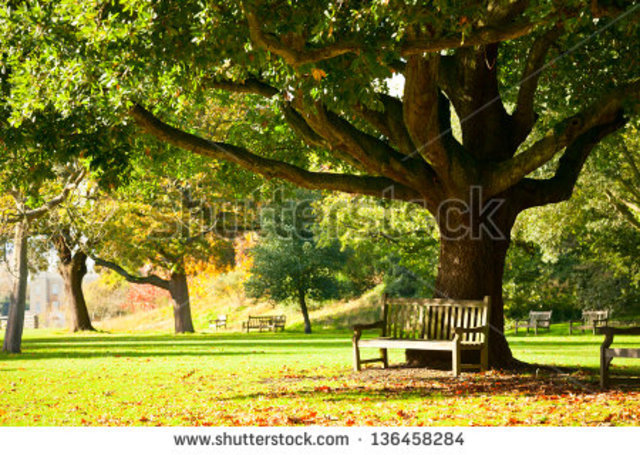 Pennsylvania Association of Retarded Citizens (PARC) v Pennsylvania