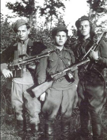 The Partisan War (Estonia)