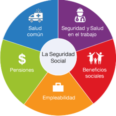 Decreto Legislativo 2350.