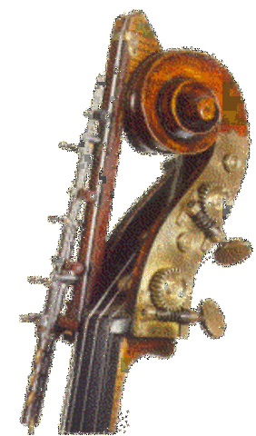 Double Bass Mechanical Extenstion