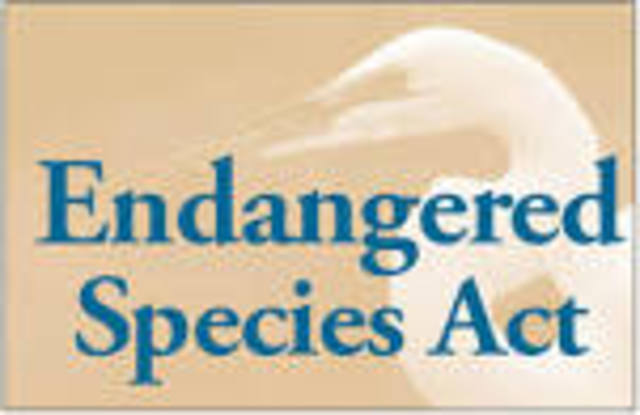 Endangered Species Act of 1973