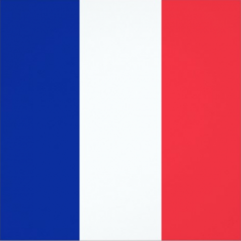 Inclusió de França a la guerra dels 30 anys