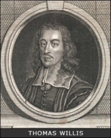 Tomás Willis hizo una descripción magistral de la diabetes
