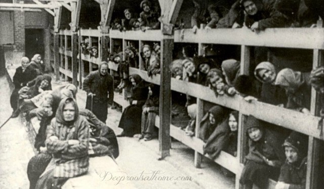 The Start of Concentration Camps.