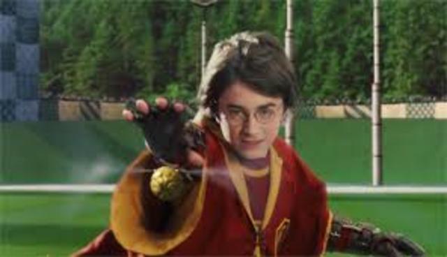 Harry's first Quidditch match.