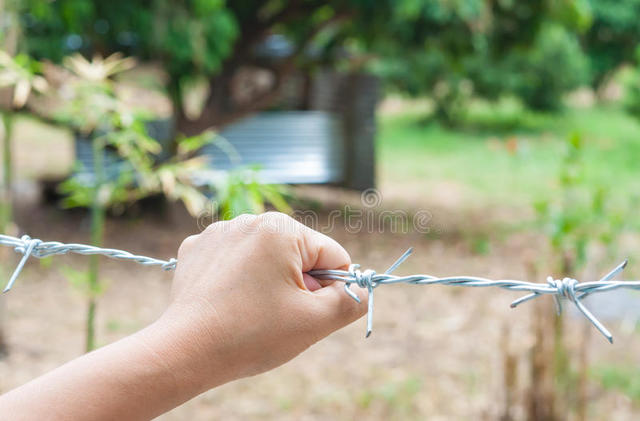Muerte de Carmina Lucero
