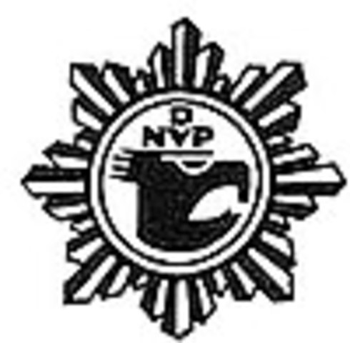 DNVP Alderdiaren sorrera