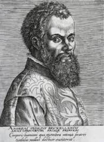 VESALIO