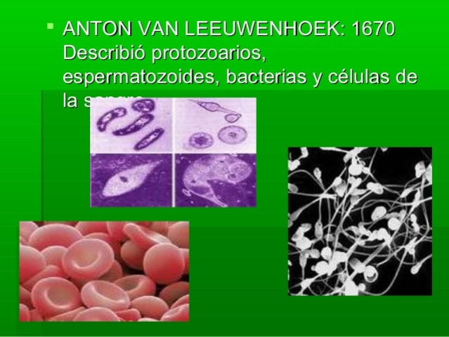 Células vivas, criaturas diminutas.