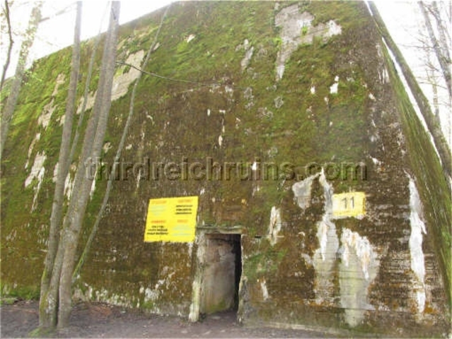 Scouting out the Wolf's Lair