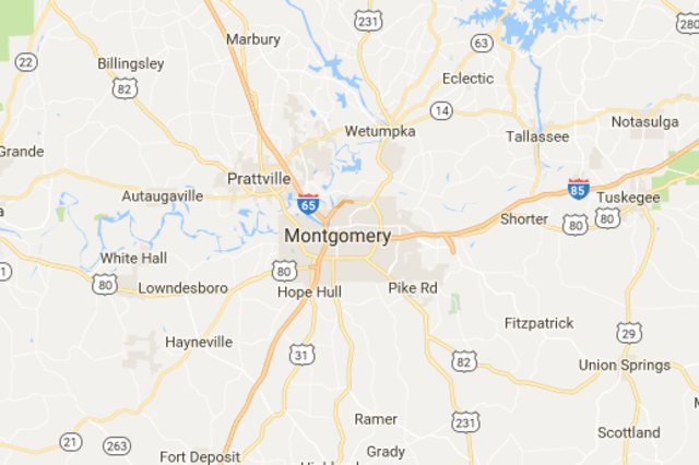 Rosa Parks, the anti-rape activist