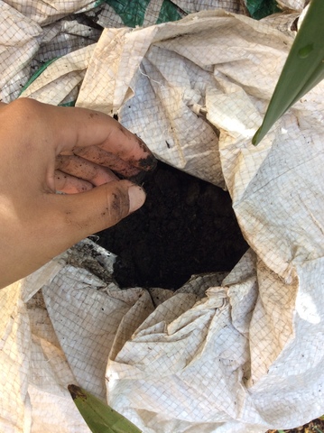 Preparación del sustrato